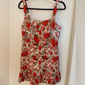 Alexis Floral Print Mini Dress